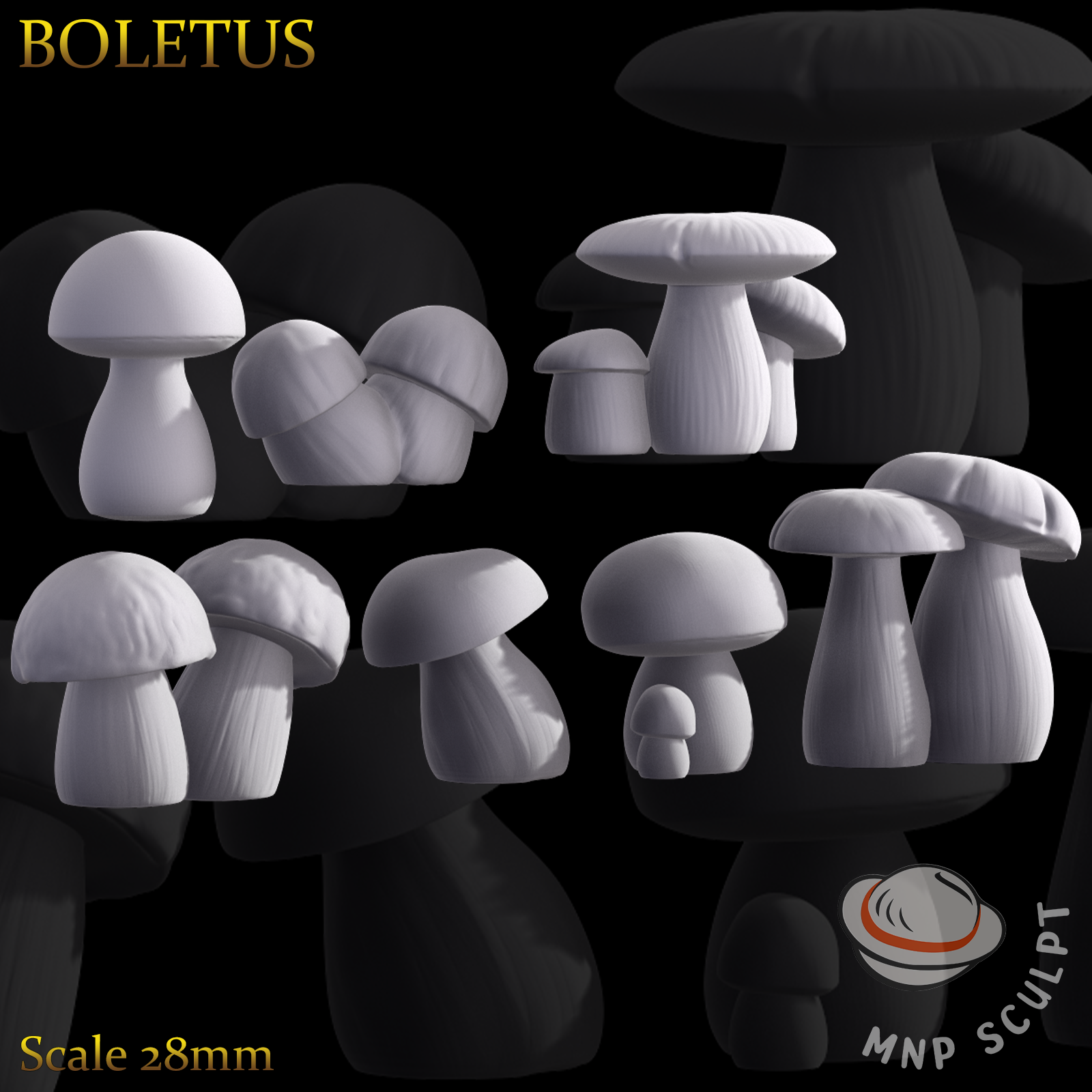 Boletus
